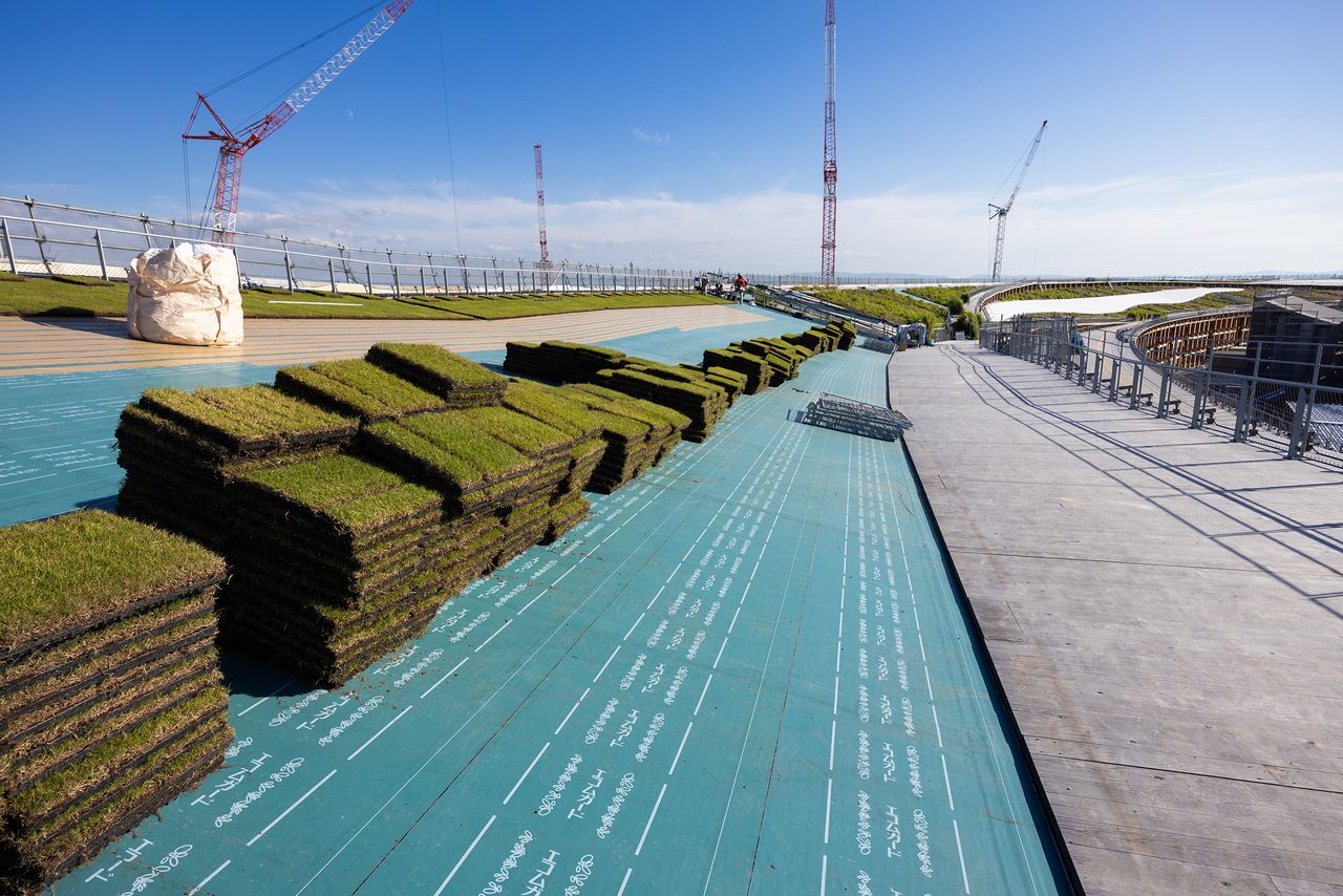 遊歩道「リングスカイウォーク」でも芝生の設置作業が行われていた