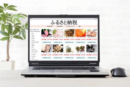 ふるさと納税の仲介サイト=イメージ
