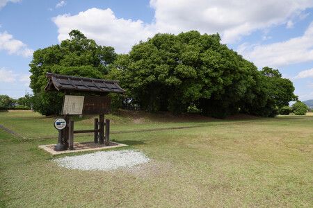藤原宮跡=5月29日、奈良県橿原市