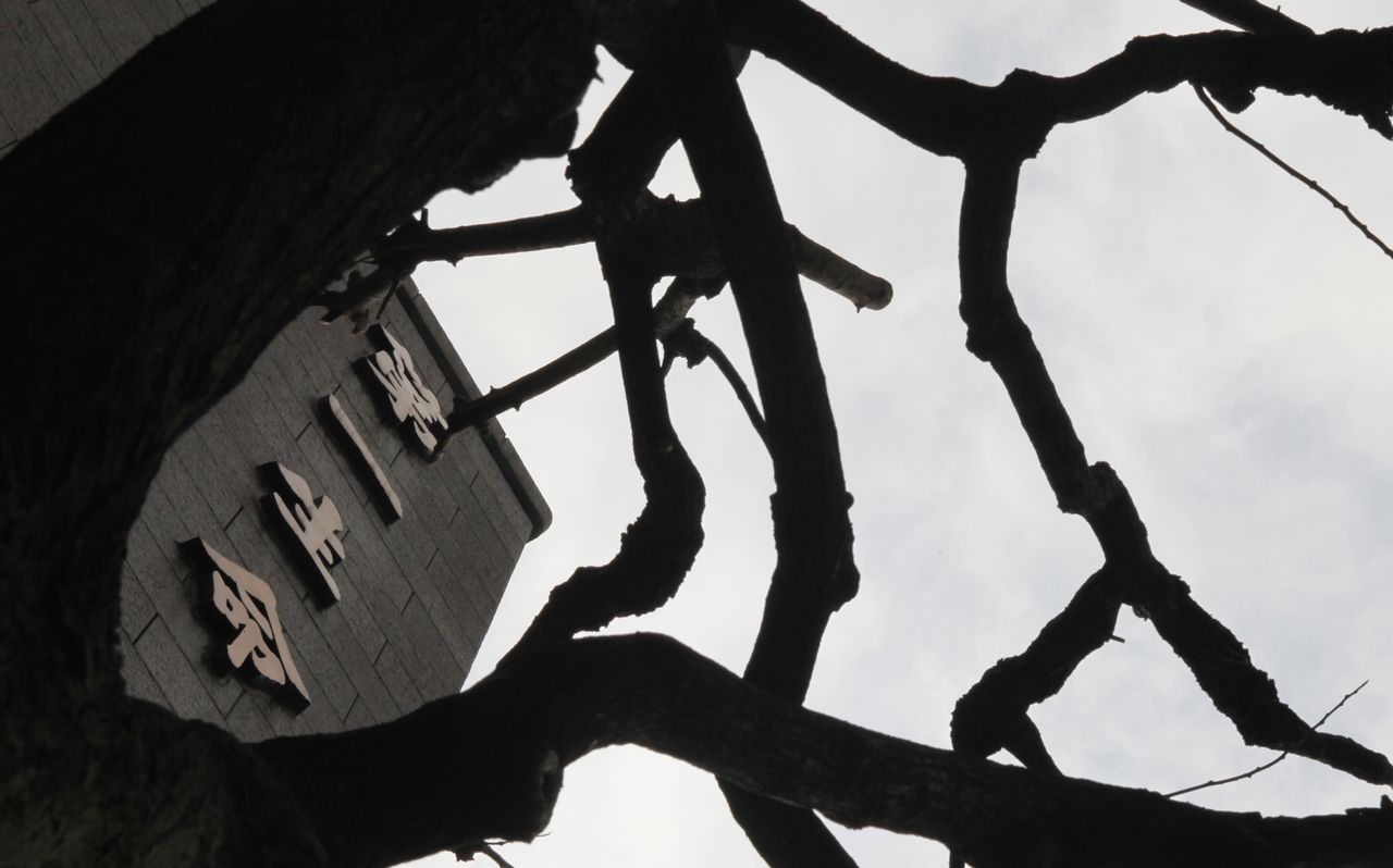 円債とオルタナ資産・不動産は残高増加、国内株は減少＝第一生命運用計画 | nippon.com