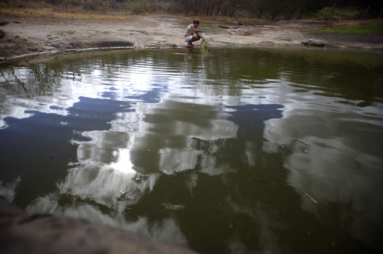アングル 乾燥化進むブラジル 貯水の森 再生目指す女性たち Nippon Com