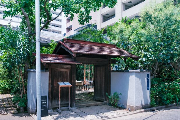 咖啡馆地处高楼环绕的“峡谷”当中,是当之无愧的都市绿洲