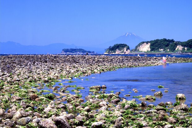 入选国家级史迹的和贺江嶋