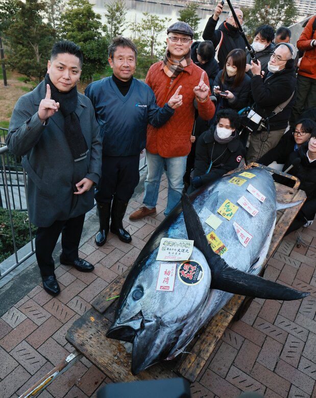 以1.1424亿日元成交的2024年第一金枪鱼。鱼脸上贴着顶级品牌的证明“大间金枪鱼”的标签（图片：时事社）