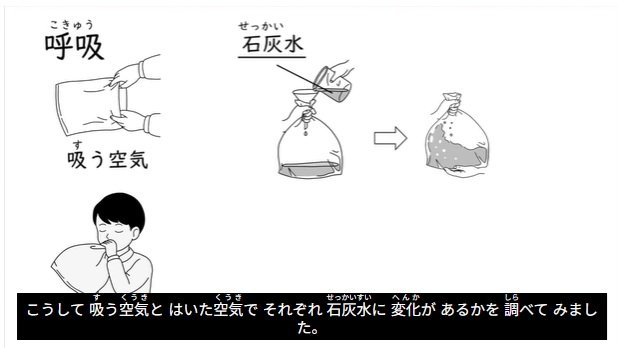 配有易懂日语字幕的教学视频（图片：NPO法人eboard） https://www.eboard.jp/content/501/v/1/
