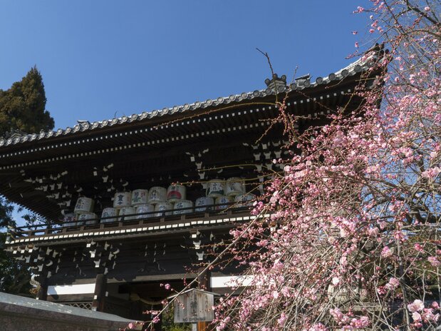 由于神社还护佑清酒酿制,因此楼门上摆满了大酒桶