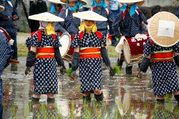 Las saotome llevan un sombrero de junco y un kimono teñido de intenso azul marino.