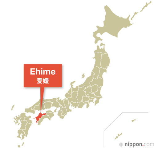 爱媛