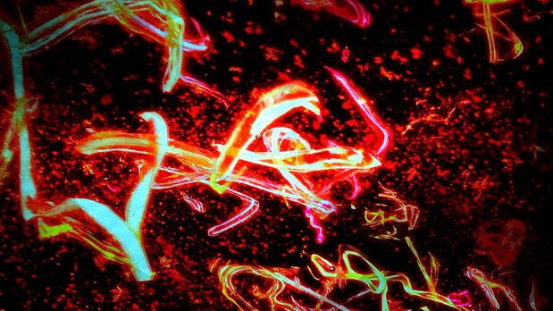 《The Eternal Universe of Words(永恒的文字宇宙)》。在无限延展的空间中,文字与声音交织共鸣