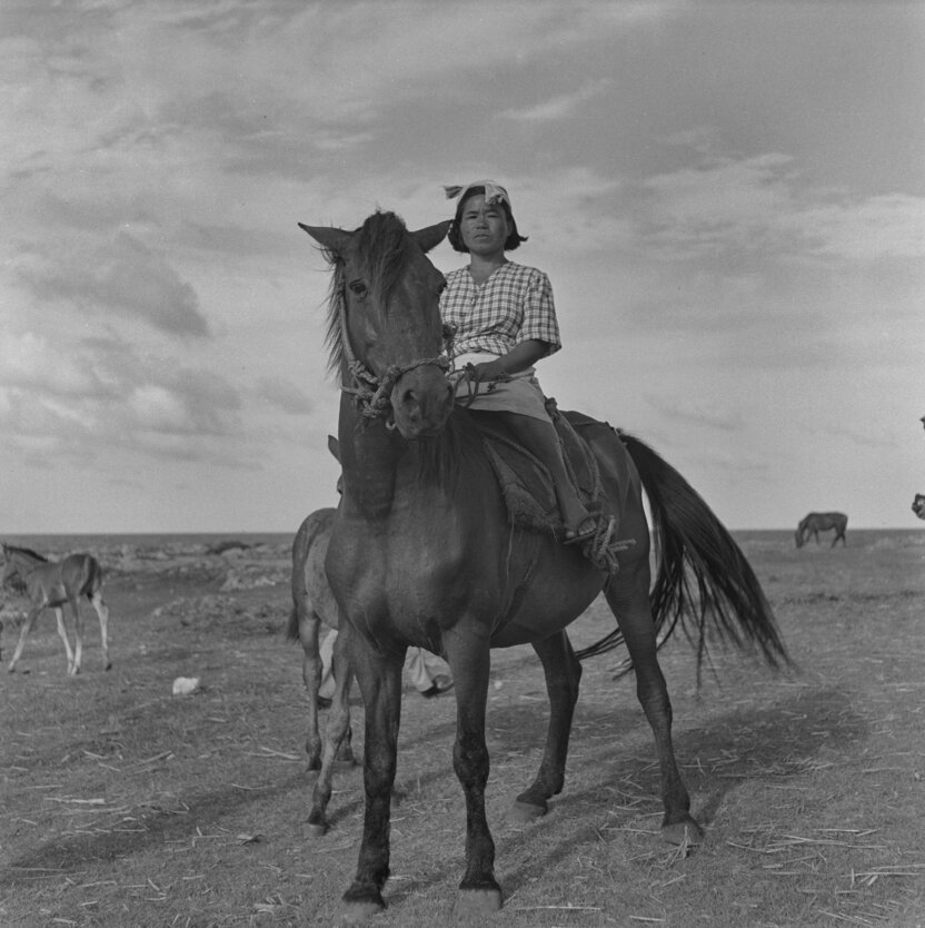 La isla de Kikai hace 70 años. Todavía no había automóviles, solo caballos.
