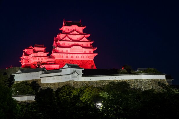 从日落至午夜12点，可近距离欣赏灯光秀。不同季节和纪念日的特别演出信息可在官网查询