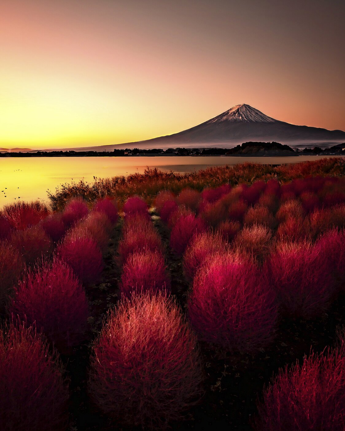 Photo : Kenkenpa