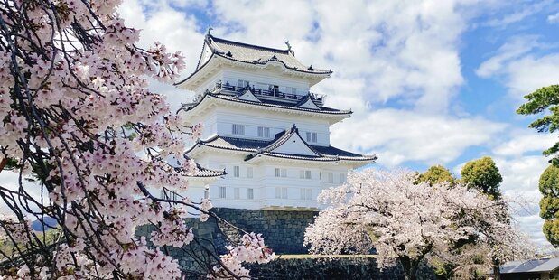 小田原城 = 神奈川県小田原市(フォトAC)/ 戦国大名・小田原北条氏の居城だった。関東大震災で全壊し、現在の天守閣は1960年に復興されたもの