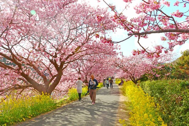 (© Association de tourisme de Minami-Izu)