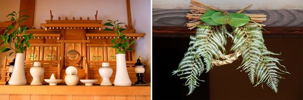 Branches de sakaki destinées aux kami (divinités) (à gauche) ; feuilles de yuzuriha et feuillage d'urajiro.