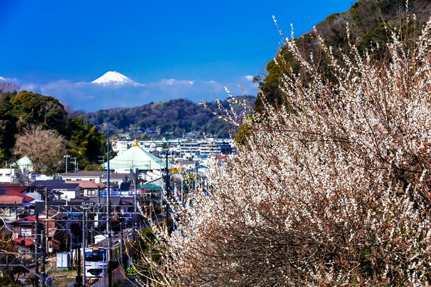 从名越切通远眺（图片：原田宽）