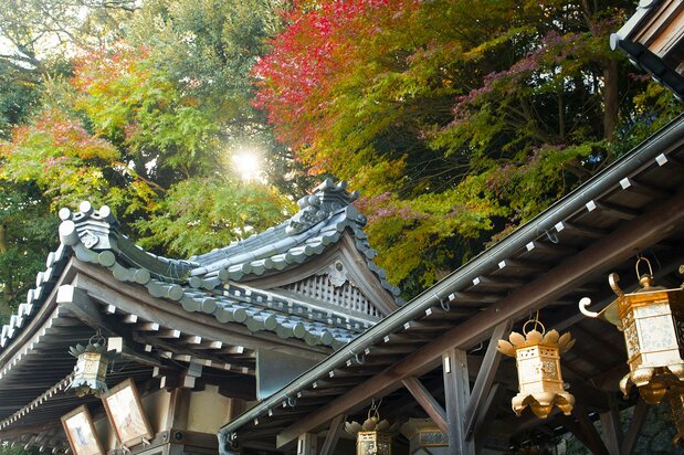 秋日的奥津嶋神社,树叶开始变红