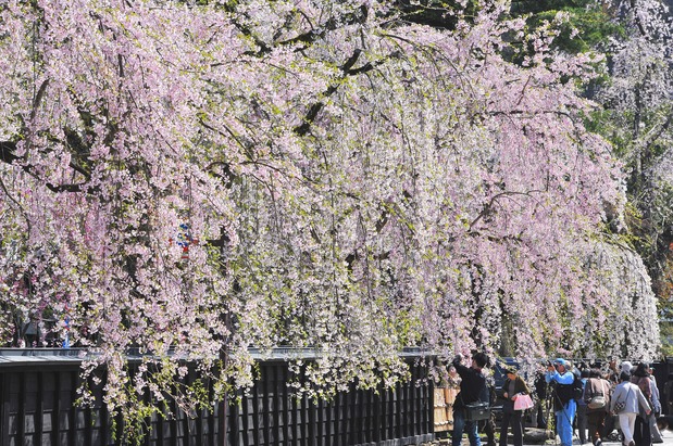 （写真提供：秋田県誘客推進課）