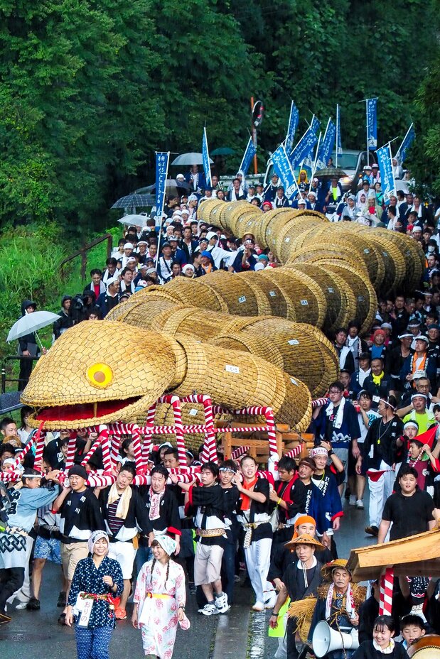 La enorme serpiente poseedora del récord Guinness.