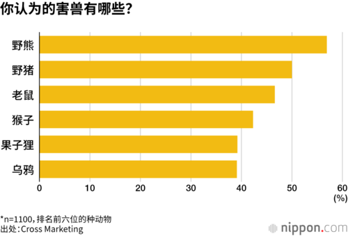 你认为的害兽有哪些？
