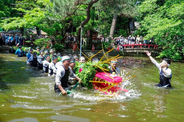 En el Jagamaita, un festival que tiene lugar el 5 de mayo en el santuario Mamada Hachiman-gū de Tochigi, una enorme serpiente nada por el estanque del recinto sagrado. Este matsuri surgido de una ceremonia para atraer la lluvia tiene festivales homólogos por todo Japón.