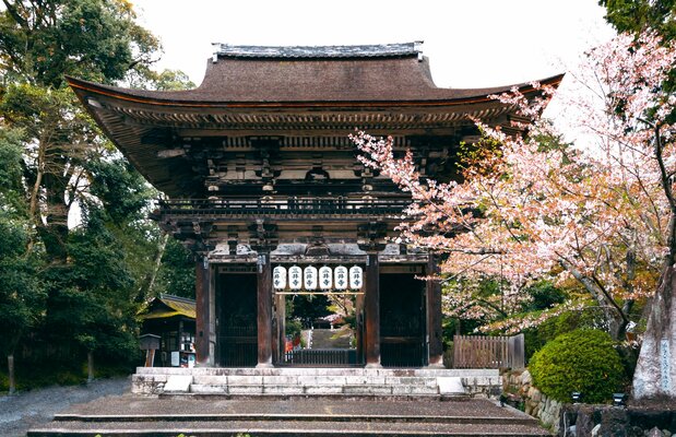 三井寺位于琵琶湖西南部的长等山山腰处,占地面积广阔。正式名称为“长等山园城寺”,是西国三十三所观音灵场的第14号札所(供奉护身符的场所——译注)。这里是著名的赏樱胜地,“三井晚钟”是近江八景之一(图片:滋贺县)