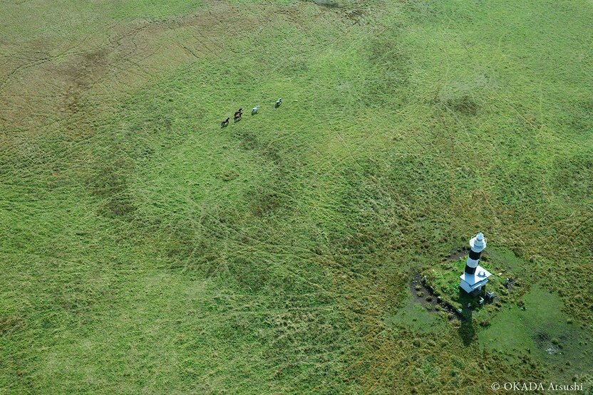 El faro, los caballos y la fina red de veredas que han ido tejiendo estos a lo largo de los años. Fotografía tomada desde un parapente por Okada Atsushi en octubre de 2014.