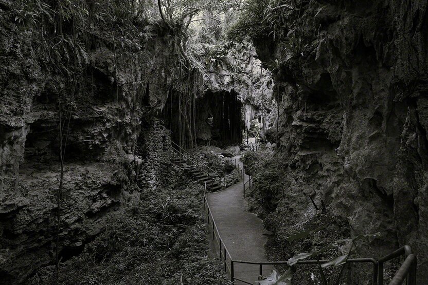 De grands arbres surgissant de la falaise dominent un espace dédié à la prière. (© Ôsaka Hiroshi)