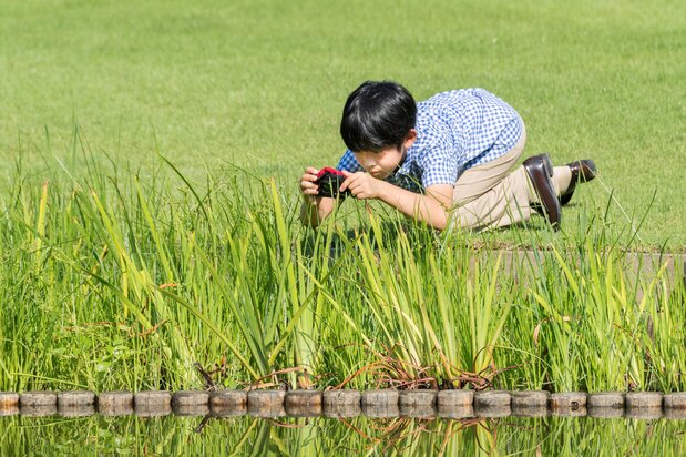在赤坂御用地观察自然(2018年8月10日,宫内厅提供,路透社)
