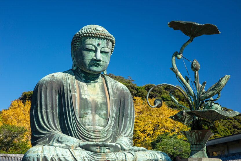 Le Grand Bouddha de Kamakura entouré d’arbres gingko au feuillage doré de l’automne.