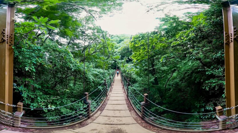 高尾山中有多条通向山顶的路线，但只有4号路线经过吊桥“miyama桥”，因此这条线深受徒步登山者的喜爱