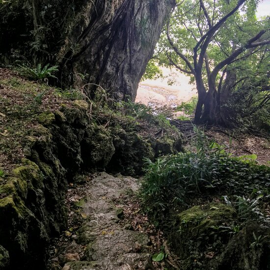 从滨川御岳顺着崖壁上修建的石阶往下走,就能到达Yaharazukasa海滩(摄影:北崎二郎)
