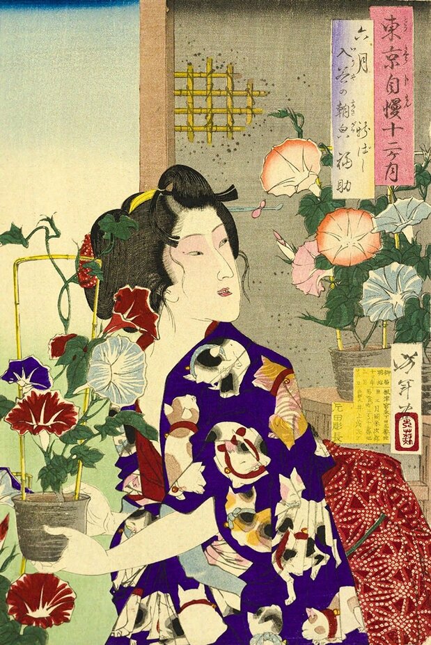 Grabado nishiki-e Tōkyō jiman jūnikagetsu: rokugatsu (“Doce meses del orgullo de Tokio: junio”), que representa el mercado de asagao de Iriya. Realizado en 1880. (Colección de la Biblioteca Nacional de la Dieta)