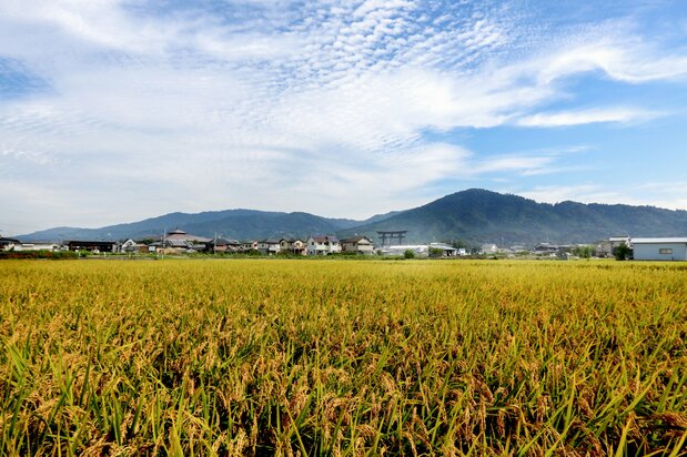 三轮山