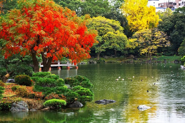 图片:PIXTA