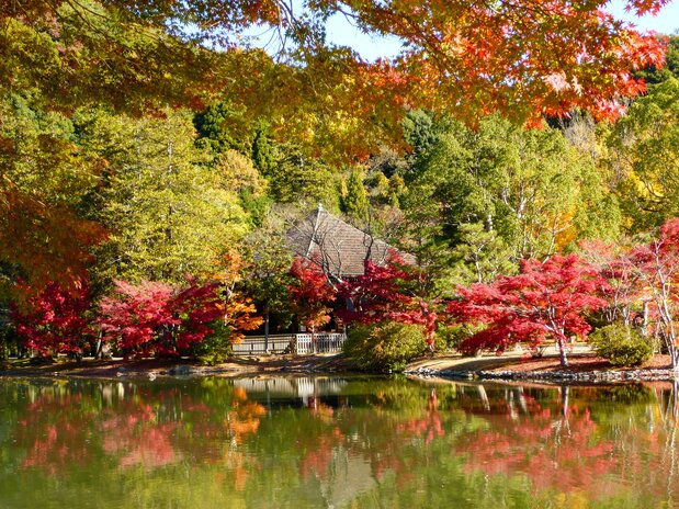 Colorful autumn foliage is reflected in Aji Pond. (Courtesy Ganjōji)