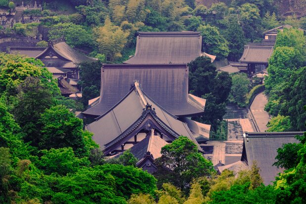 从寺院最深处的高台，眺望呈直线排列的伽蓝建筑