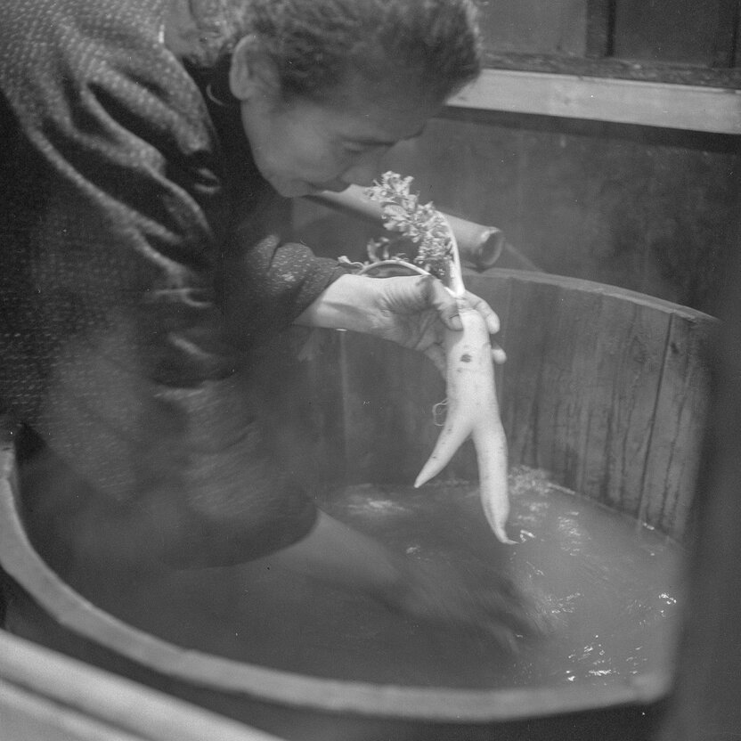 Dans cette famille, on baignait respectueusement le radis blanc daikon fourchu qui représentait l’esprit divin. (© Haga Hideo)