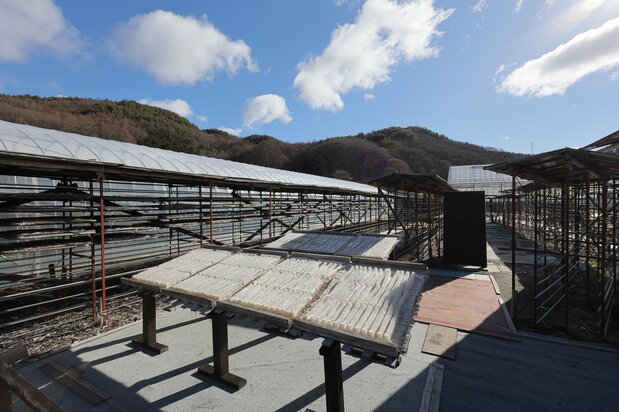 Un local d’assèchement de kanten de l’entreprise Irisen à Nagano. On aperçoit la chaîne de montagnes Tateshina au fond.