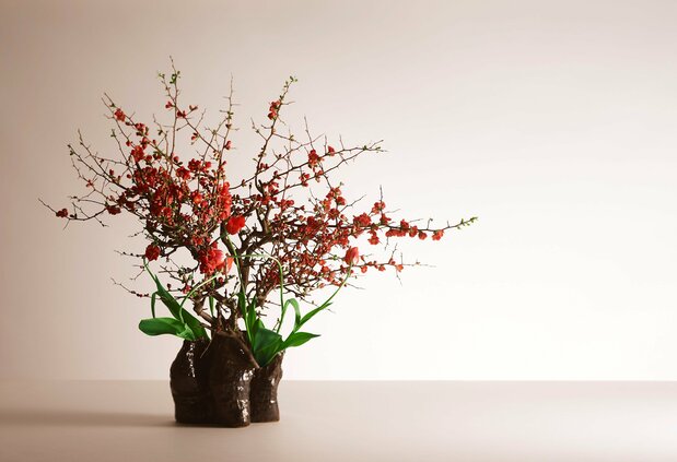 敕使河原茜家元作品。花材:贴梗海棠、郁金香(摄影:和田惠,提供:生花草月流)