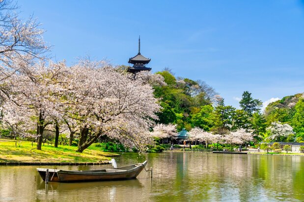 三渓園=横浜市中区(フォトAC) / 明治期に製紙・生糸貿易で財をなした実業家・原三渓が開園した広大な日本庭園
