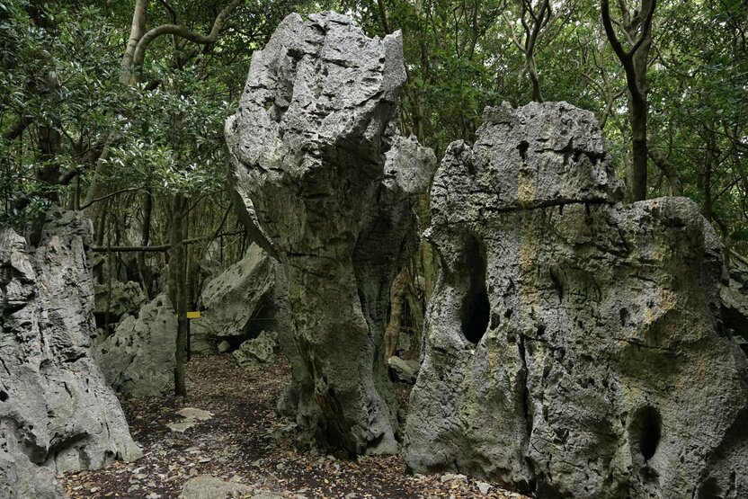 Many of the giant stones at the site are almost lifelike. (© Ōsaka Hiroshi)