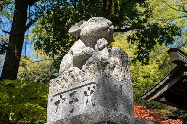 调神社里的兔子像（图片：PIXTA）