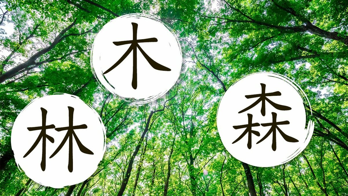 Toca madera: ‘kanji’ con el radical de árbol (木) | Nippon.com