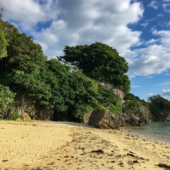 百名海滩的北端,传说中阿摩美久登陆的海岸(摄影:北崎二郎)