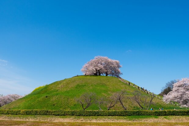 さきたま古墳公園 = 埼玉県行田市(フォトAC) / 5世紀後半から7世紀はじめころまでに作られた9基の大型古墳が群集