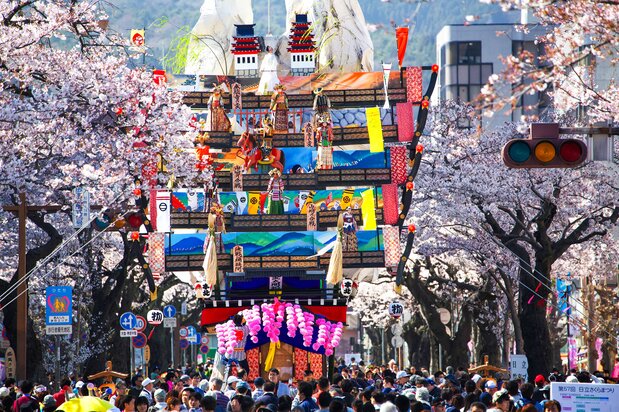 桜のトンネルから頭が飛び出すほど巨大な山車