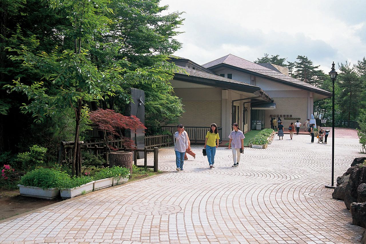 Мощёная мостовая перед Мемориальным холлом Миядзавы Кэндзи (фотография предоставлена Ассоциацией туризма преф. Иватэ)