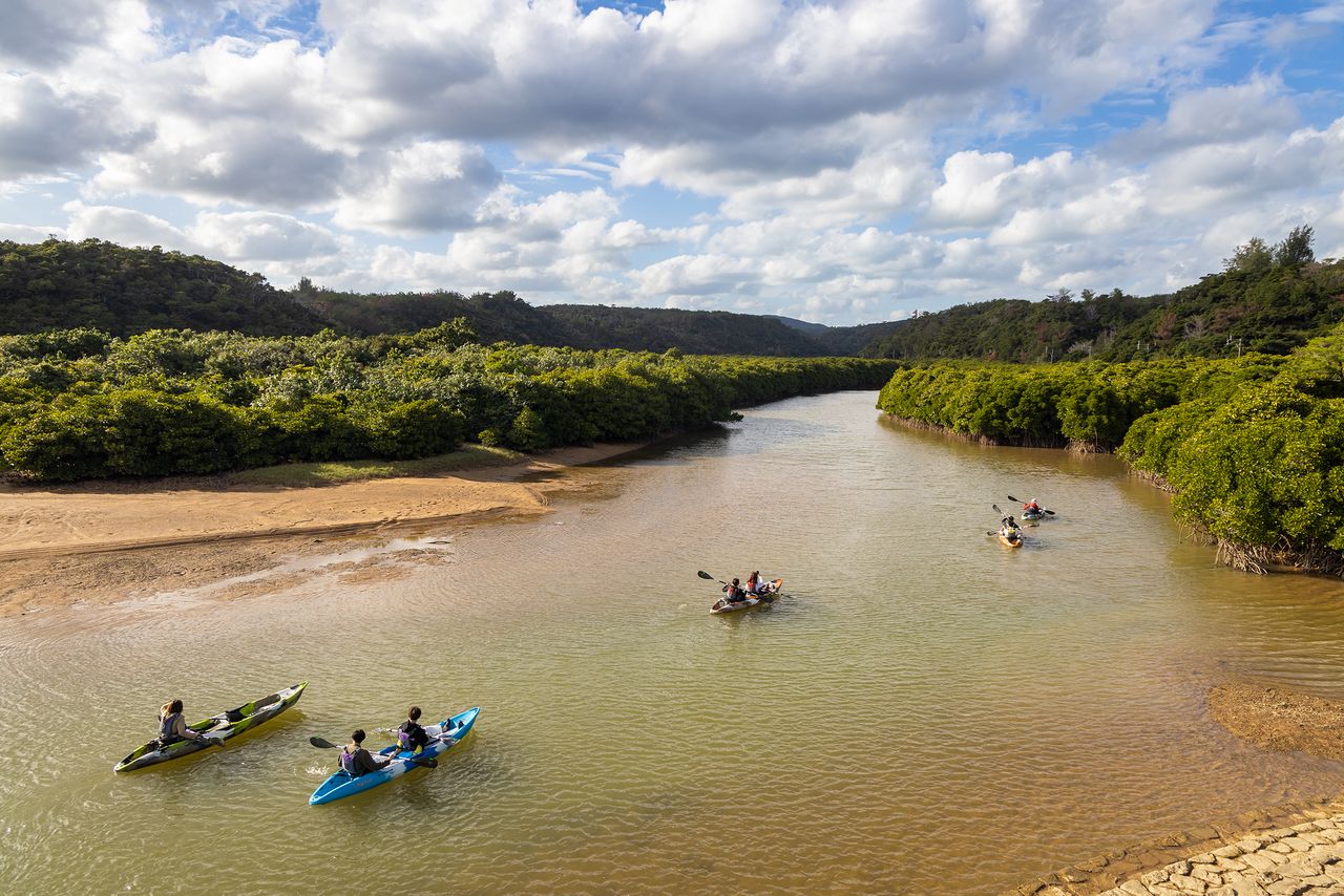 На обратном пути из Дайсэкириндзана посетители могут сплавиться на каноэ по мангровым лесам на реке Гесаси в Хигаси или отправиться в речной поход к водопаду Таа в Огими