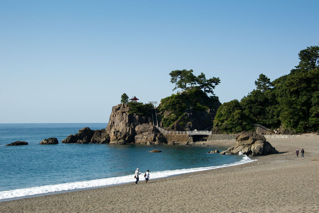 Побережье Кацурахама известно своим белым песком и соснами на берегу